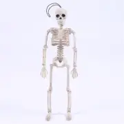 Posable Skeleton Halloween Decor Scary Man Bone Creepy Party DecoY;;^