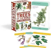 Our World in Pictures Trees of the World Flash Cards