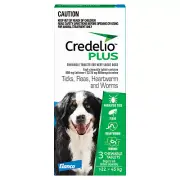 Credelio Plus Ticks Fleas & Worms Treatment Chew Tabs for Dogs 22-45kg Blue 3 Pa