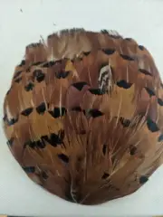 ONE Pheasant PAD - Natural Brown Tip Feathers (Headband/Halloween/Craft)