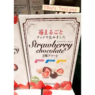 現貨到呦♥️日本好市多熱賣整顆草莓巧克力三重奏 meji明治 黑巧克力北海道杏仁白巧克力 呼吸巧克力 東京物語白色戀人
