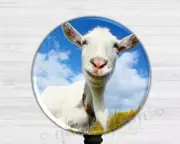 Goat Badge Holder, Cute Goat Retractable Badge Holder, Goat Badge Reel GG1007