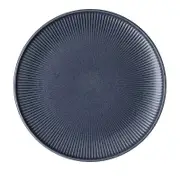 Rosenthal Thomas Clay Dinner Plates, Set of 4