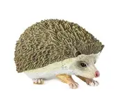 HedgeHog by Safari LTD/incredible creatures/261129