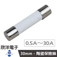 在飛比找蝦皮商城優惠-30mm 耐熱陶瓷管保險絲 0.5A/1A/2A/3A/3.