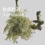 VERAMOSS合成橡苔EVERNYL美國知名香精大廠 固體粉末單體調香原料 苔蘚橡木苔