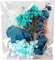 Dried Flowers for Vase - Natural Flower Leaf Kit | Natural Dried Flower Leaves for Scrapbooking, Photo Frame, Handcraft, Candle Making