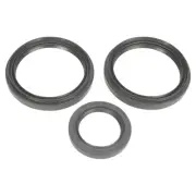 All Balls Differential Seal Only Kit for 2008-2010 Arctic Cat Thundercat 1000