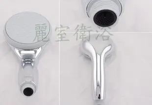 【麗室衛浴】德國GROHE 28422 天瀑兩段式出水 手持式蓮蓬頭 F-740-4