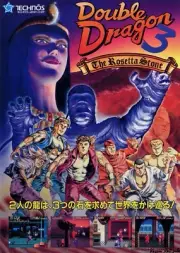 Double Dragon 3 The Rosetta Stone Arcade Glossy Promo Ad Poster Unframed A0904