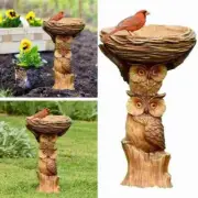 Bird Bath & Feeder Traditional Pedestal Free Standing Garden Bird Outdoor Table