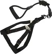Gatuida Adjustable Dog Harness and Leash Large Dog Nylon Leash Pet Walking Rope for Comfortable Outdoor Use