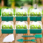 Seed Starter Tray with Light, 6PCS Seed Starter Kit with Grow Light, Seedling...