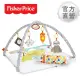 【Fisher price 費雪】感官訓練可愛動物健身器