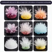 Crystal Planting Children's Fun Science Experiment Children Crystal Growing Kit