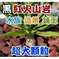 在飛比找蝦皮購物優惠-【全館590免運】火山熔岩 大顆粒火山岩(火山石)18公斤裝