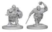 D&D Wizkids Minis Wave 2 Dwarf Female Fighter (2)
