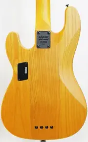SCHECTER MODEL T SESSION AD MT SS