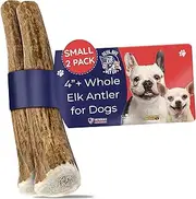 Premium Elk Antlers for Dogs | Antler Dog Chew Elk Bone For Small Dogs | Healthy & Long Lasting Treat For Aggressive Chewers | Wild Sourced in the USA - Veteran Owned (Whole, Small 4"-5" 2-Pack)