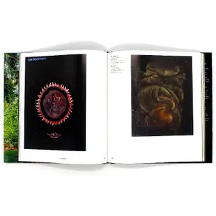 易匯空間 正版書籍Kusama Cosmic Nature  草間彌生宇宙自然 展覽畫冊畫集波點藝術 原版SJ2310