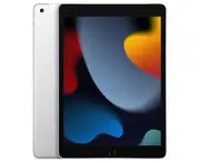 Apple iPad 10.2-inch 256GB Wi-Fi + Cellular (Silver) [9th Gen]