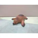 睡眠動物 海獅 扭蛋