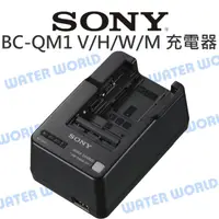 在飛比找樂天市場購物網優惠-SONY BC-QM1【FV50 FV70 FV100 FW