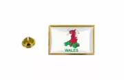 pins pin's flag national badge map hat country CYMRU wales