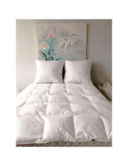 Puradown 50% Duck Down 50% Duck Feather Quilt-Double