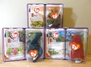 Ty Teenie Beanie Babies Dinosaur Trio Steg Bronty Rex 2000 - Complete Set of 3