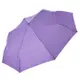 RAINSTORY雨傘-紫戀心漾抗UV雙人自動傘