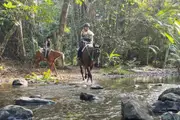 Cape Tribulation Child Afternoon Beach Horse Ride - Cape Tribulation