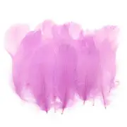 Colorful Feathers 3-5inch, 300pcs Goose Feathers Bulk, Purple Pink