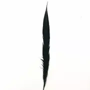 20" to 30" Lady Amherst Pheasant Side Tail Feather - Black ((SECONDS))