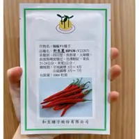 在飛比找蝦皮購物優惠-原包裝 新朱麗辣椒種子 1000粒 新朱麗種子 辣椒種子 長
