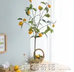 仿真綠植盆栽室內假檸檬樹INS客廳落地擺件裝飾北歐假花植物 樂樂百貨