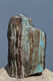 7.6 kgs Rare Fossil Petrified Wood Stone Decoration Ornament