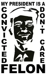 My President Is A Convicted Felon Don't Care Trump MAGA Vinyl Decal
