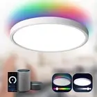 Taloya 12 Inch Smart Dimmable Ceiling Light Fixture Rgb And White Control