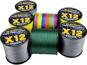 LLEIIshen 12 Braided Line Multicolor 1000M High Strength Ocean Fishing Line Multifilament X12 PE Line Lure Line Leader Line/1897