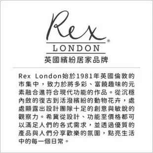 【Rex LONDON】環保保冷袋 快樂雲(保溫袋 保冰袋 野餐包 野餐袋 便當袋)