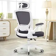 KERDOM Ergonomic Office Chair, Breathable Mesh Desk Chair, Lumbar Support Computer Chair with Headrest and Flip-up Arms, Swivel Task Chair, Adjustable Height Gaming Chair(KD9060H-Darkgray)