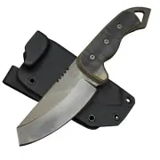 2025 Shed Knives Sheepsfoot COYOTE TAN G-10 154-CM STEEL NEW Fixed Blade Knife