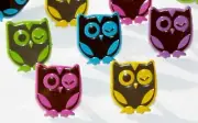 Bright WINKING OWL BRADS 5 colors Scouts Hoot Baby Bird Card Making Scrapbooking