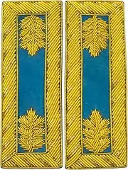 [UK EMPIRE GROUP] Civil War US Officer Shoulder Boards Major (Gold Oak Leaf) Infantry Sky Blue – Gold Bullion Embroidered | ACW Rank Insignias