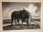 Ajax by John Steuart Curry Print 12 3/4 in x 9 1/2 in