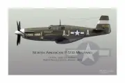 WWII WW2 USAF P-51 Mustang Ace Ding Hao Aviation Art Profile Photo Print 18”x12”