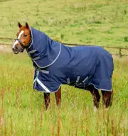 Rhino Plus Vari-Layer Turnout Blanket (250g Medium, 150g Hood)