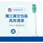飛利浦電動牙刷頭/台灣現貨/獨立真空包裝/HX6014-專業標準型
