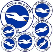 Desert Cactus Brighton & Hove Albion Sticker BHAFC Seagulls Football Club Decal Vinyl Laptop Water Bottle Car Scrapbook Official Fan Gear T3 (Type 3-1)